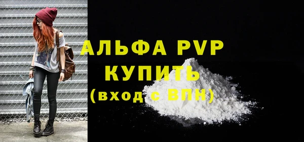 стаф Белокуриха