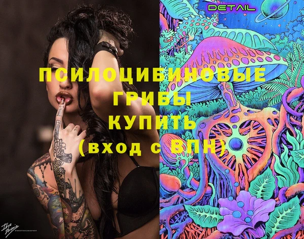 стаф Белокуриха