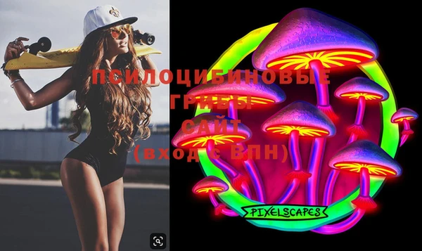 стаф Белокуриха