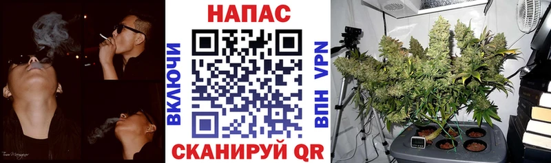 купить  сайты  Кондрово  Шишки марихуана THC 21% 